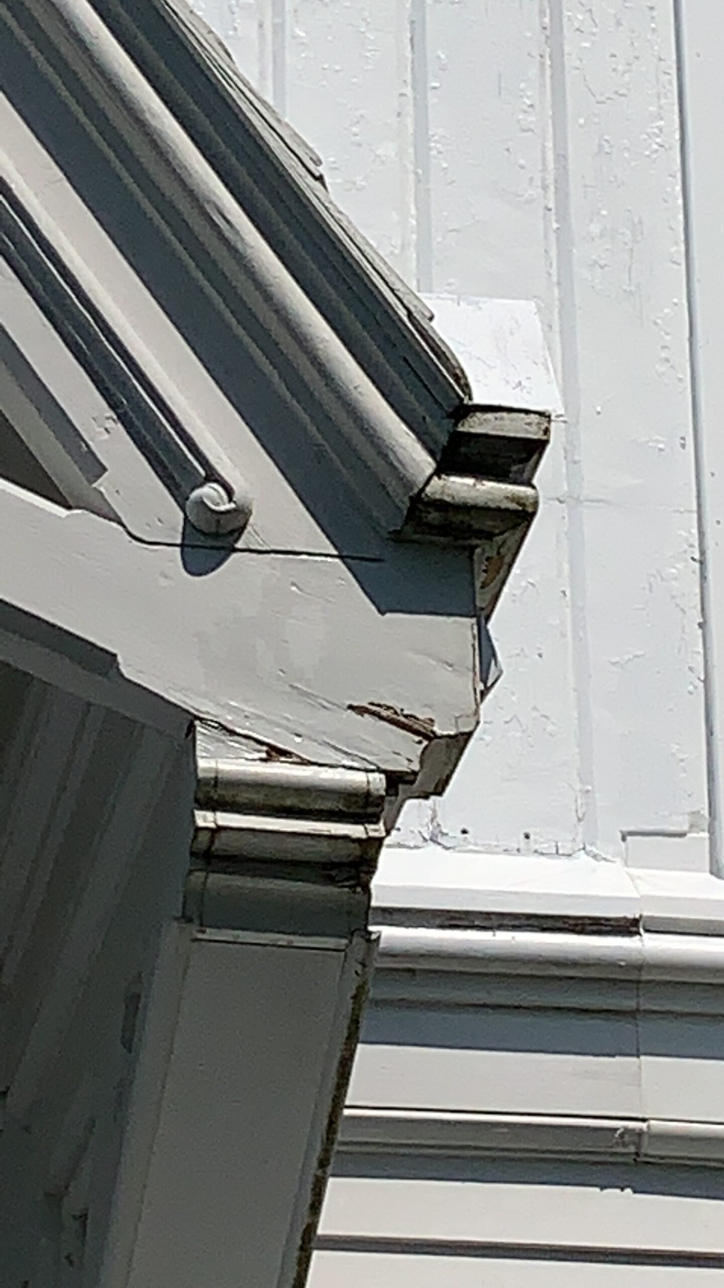 Exterior gutter and trim painting by Fabricio Painting on Cape Cod
